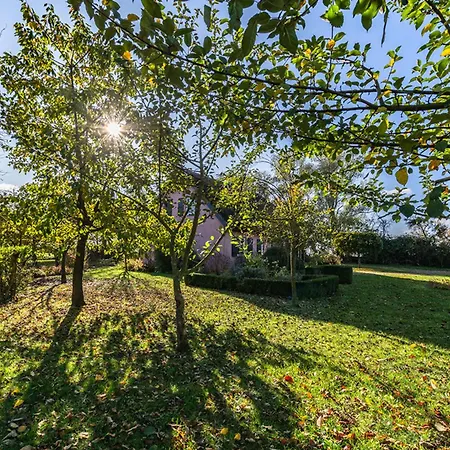 Lejlighed Hof Garz Rosengarten Poseritz