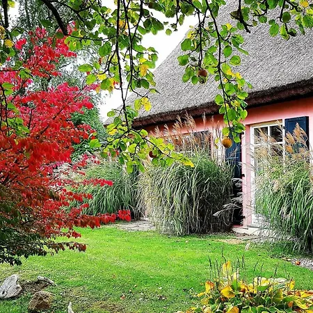 Hof Garz Rosengarten Lejlighed *