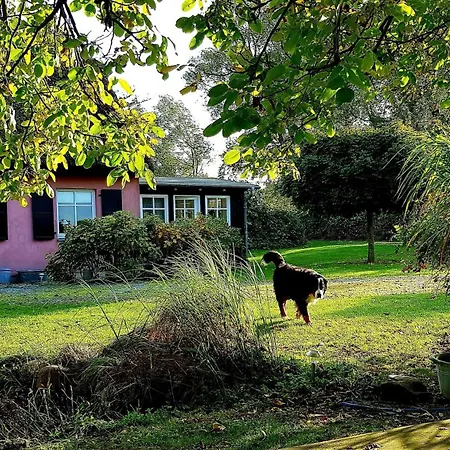 Hof Garz Rosengarten *